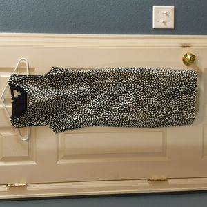 JCrew Navy and White Dot Sheath Dress